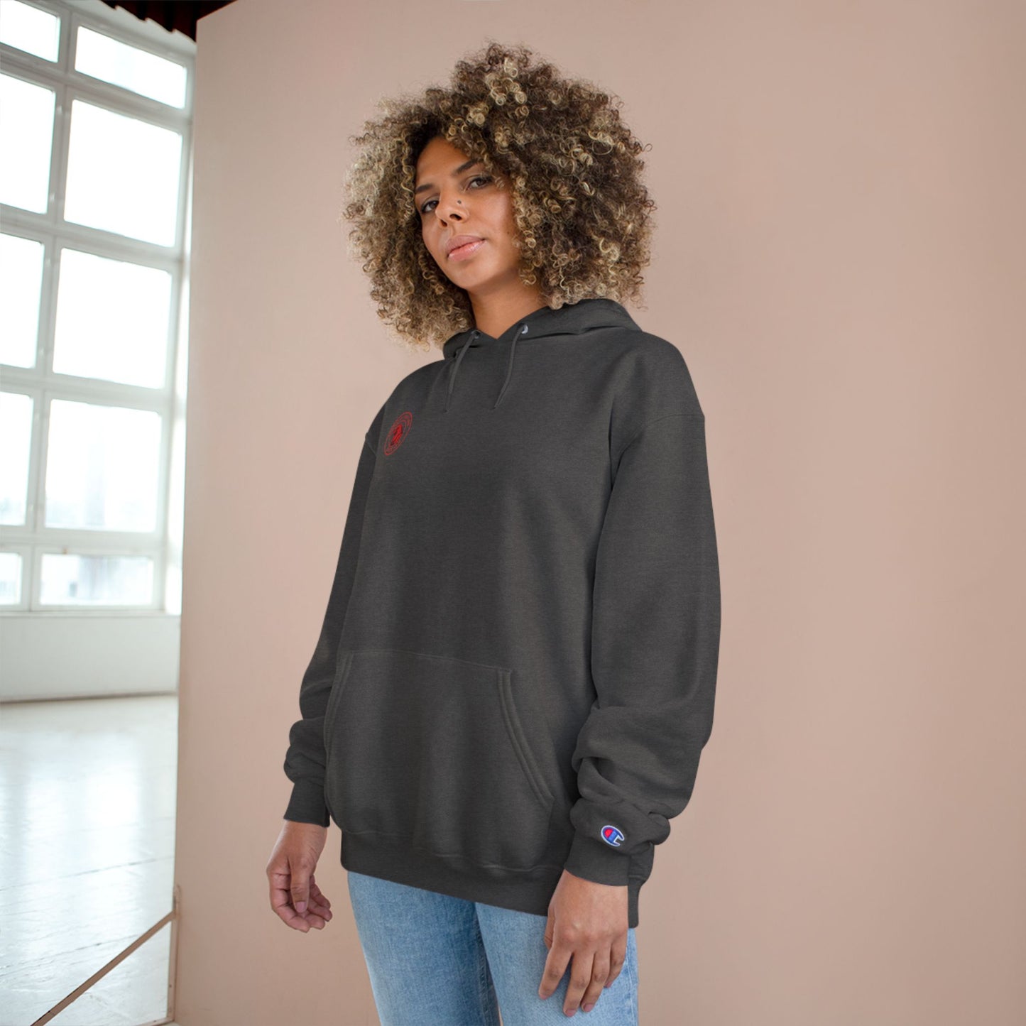 Inspirational Champion Hoodie - Iron Sharpens Iron, Proverbs 27:17